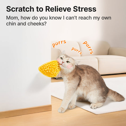 Potaroma Cat Self Groomer with Catnip, Durian Style Wall Corner Massage Comb Scratcher