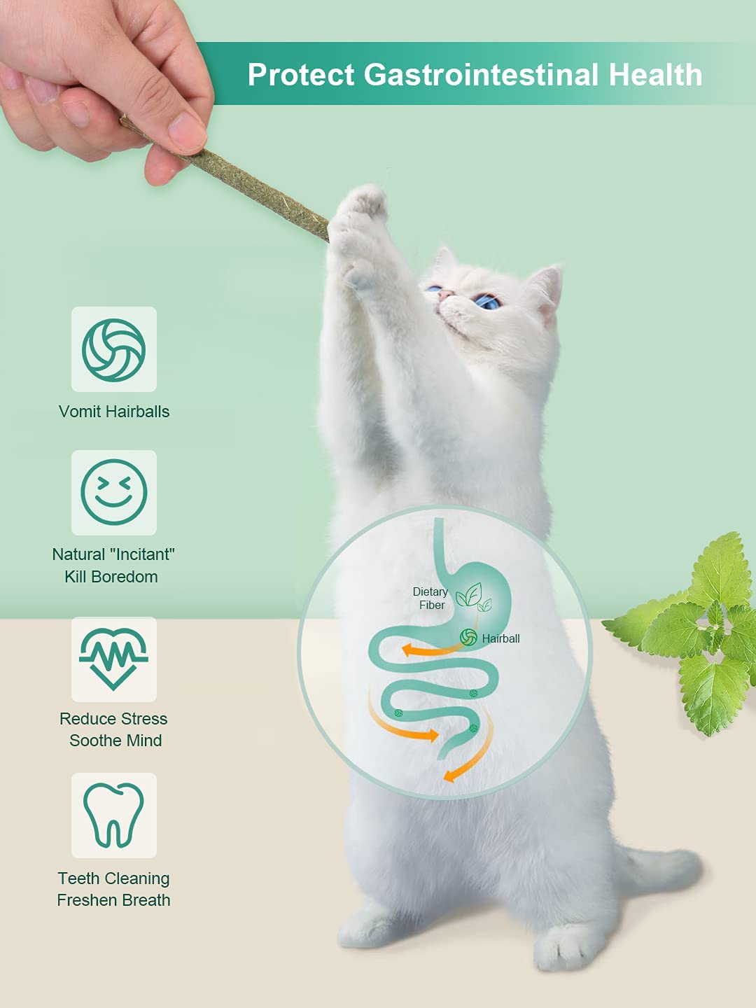 Potaroma 12Pcs Natural Silvervine Sticks Catnip Sticks